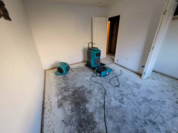 Best Odor Removal and Sanitization After Water Damage in Greenville, NC